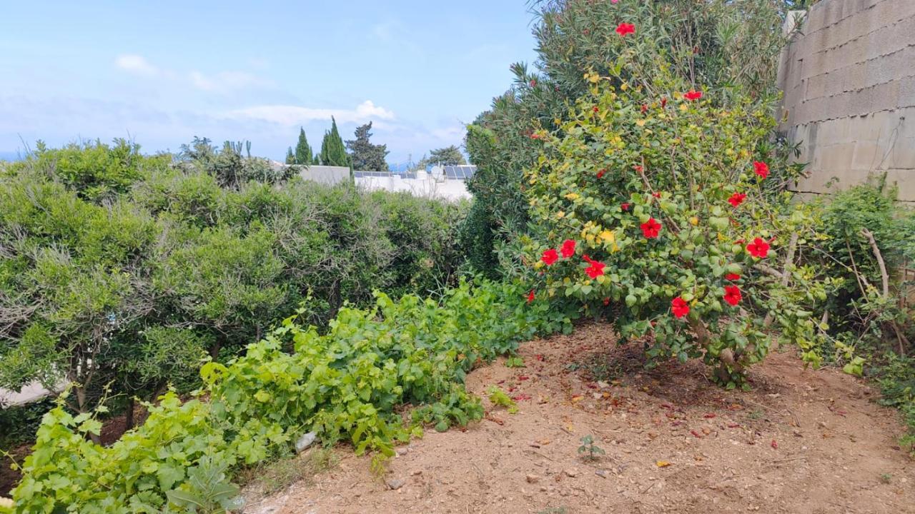 Stunning Villa With Pool, Table Tennis, Table Soccer And A Pool Table Naxxar Buitenkant foto