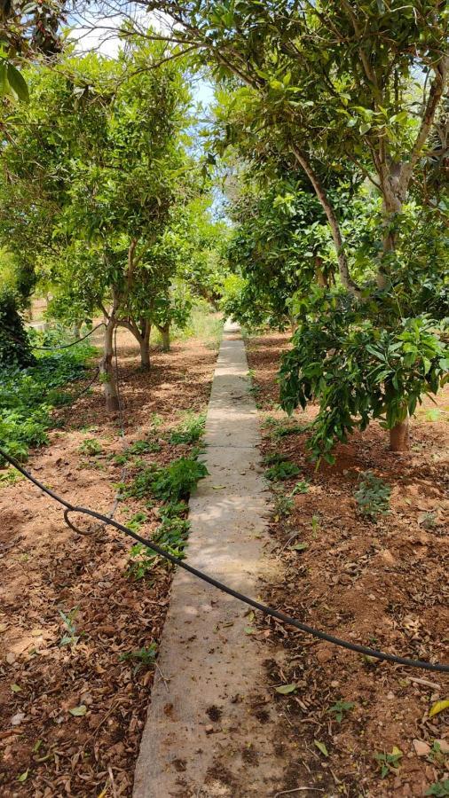 Stunning Villa With Pool, Table Tennis, Table Soccer And A Pool Table Naxxar Buitenkant foto