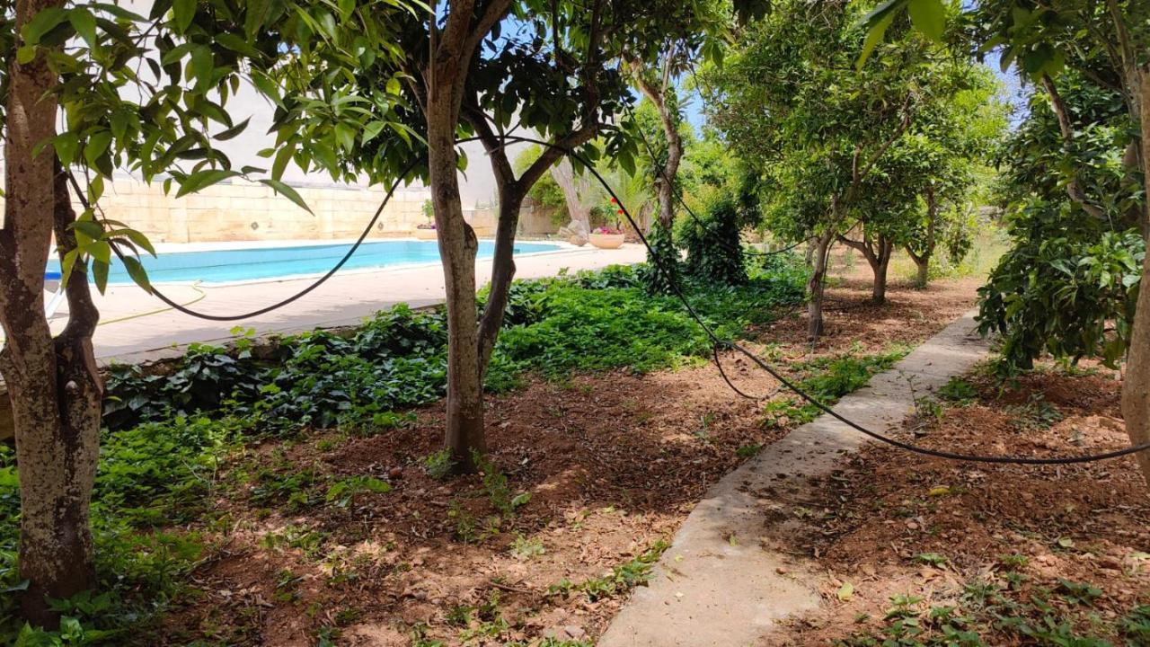 Stunning Villa With Pool, Table Tennis, Table Soccer And A Pool Table Naxxar Buitenkant foto