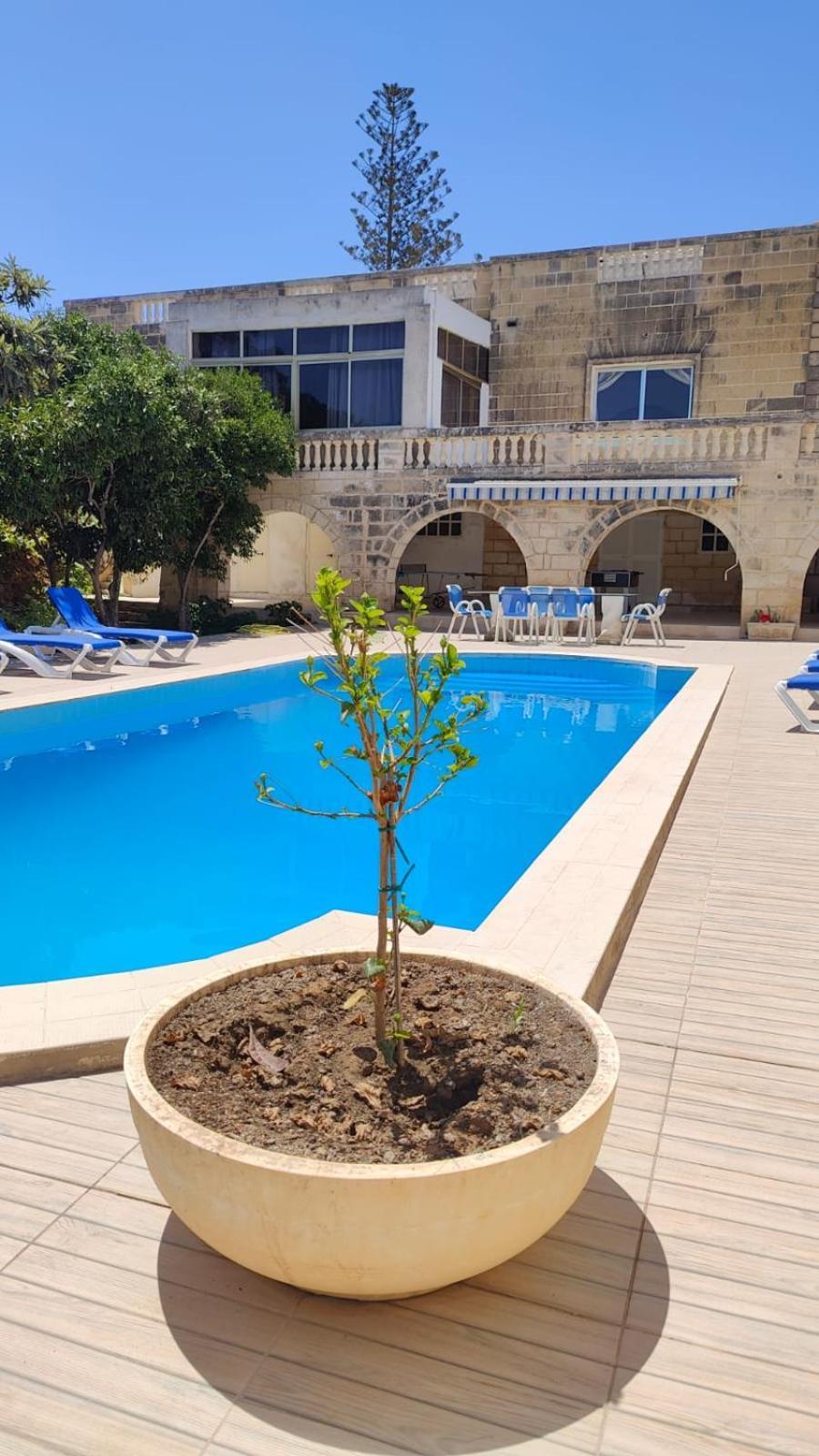 Stunning Villa With Pool, Table Tennis, Table Soccer And A Pool Table Naxxar Buitenkant foto